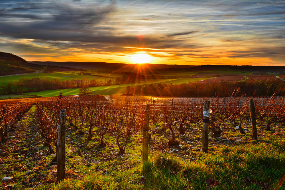 Conseils & sélection de vins - spiritueux